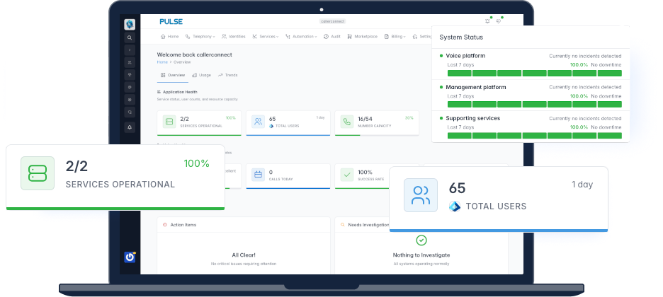 Pulse Dashboard